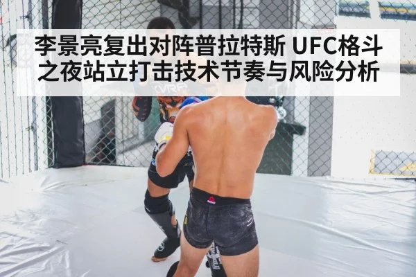 MMA cage fight
